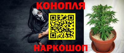 PSILOCYBIN Бузулук